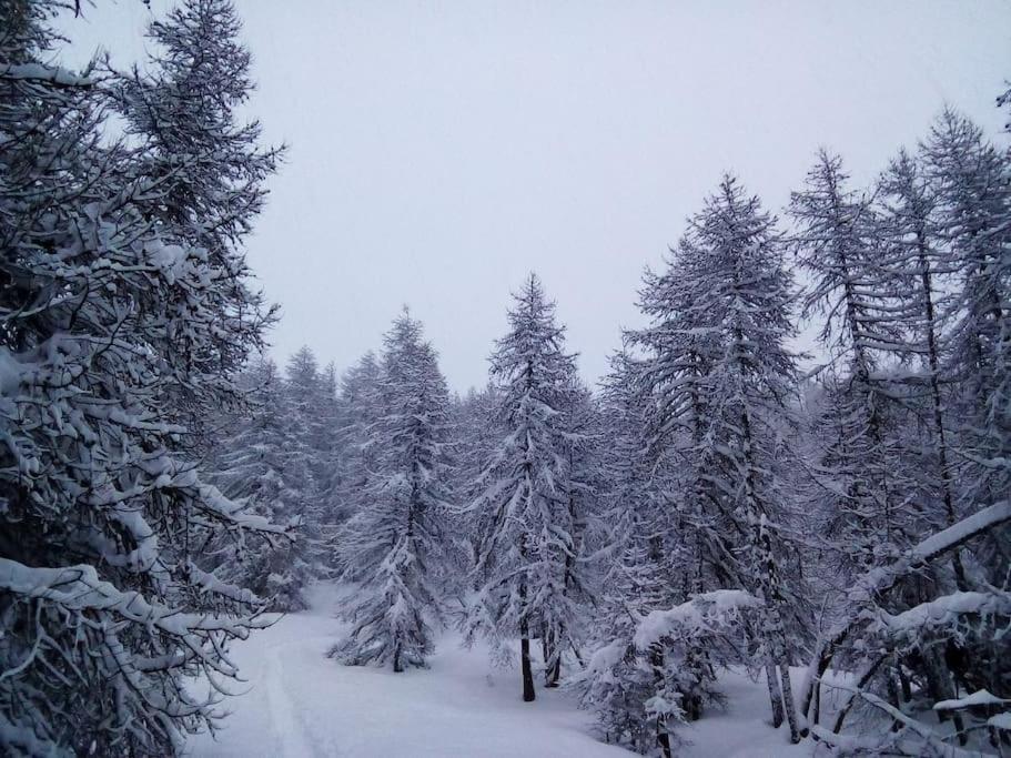 Studio Au Coeur De Valberg A Proximite Des Pistes ภายนอก รูปภาพ